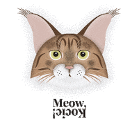 Maine Coon Meow Sticker