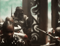 Black Panther Marvel GIF by Respective