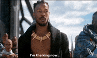 Black Panther Marvel GIF