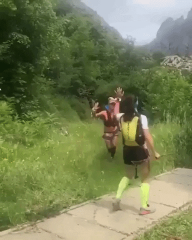 GifVif giphyupload gifvif we made it GIF