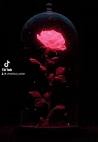 Beauty And The Beast Disney GIF by Chemical Sister