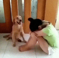 friend comfort GIF