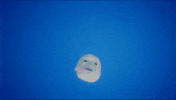 Digital Art Ghost Face GIF by Mahism