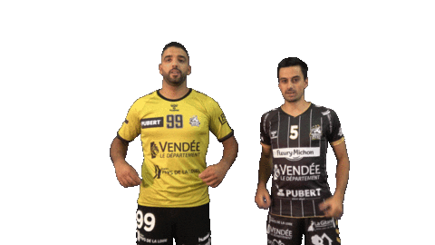 Sport Soccer Sticker by Pouzauges Vendée Handball