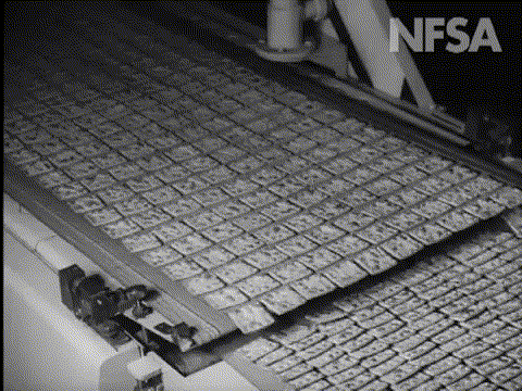 jeffthompson giphyupload food australia crackers GIF
