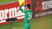 wswanderersfc football celebration goal wanderers GIF
