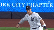 Celebrate New York Yankees GIF by MLB