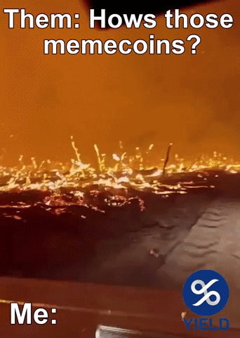 Memecoins GIF by YIELD