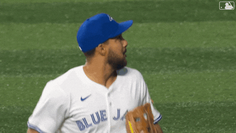 Happy Blue Jays GIF by Toronto Blue Jays