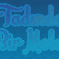 Tadindabirmola GIF by TEI