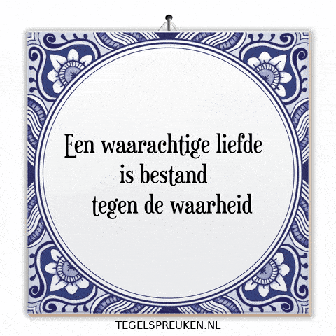 Troost Reflectie GIF by Tegelspreuken.nl