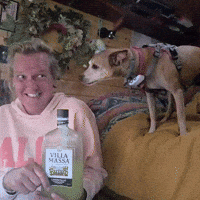 Dog Kiss GIF by The Vanlife Network