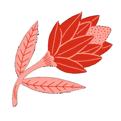 Aurage giphyupload illustration pink flower Sticker