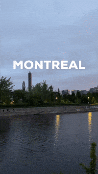 Montreal GIF by Casol