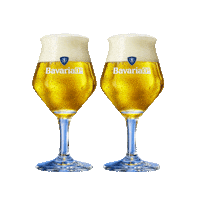 Beer Bier Sticker by Swinkels Family Brewers