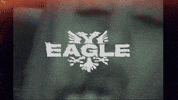 Eagle Albania GIF by D-Block Europe