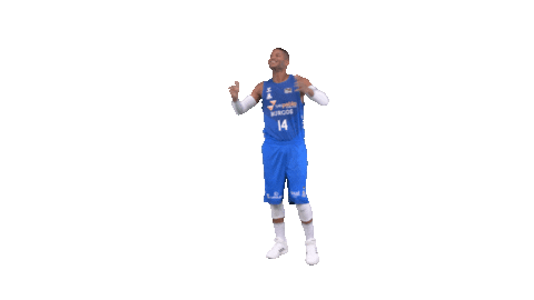 Liga Endesa Basketball Sticker by ACB
