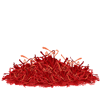 Healthy Skin Kolagen Sticker by AURORA SAFFRON COLLAGEN