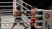 GIF by ONE Championship