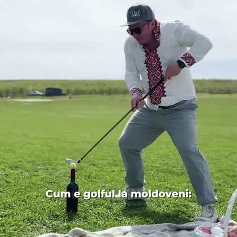 Wait For It Golf GIF by Ai Nostri