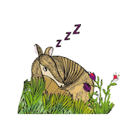 Colombia Conservacion Sticker by Fundación Omacha