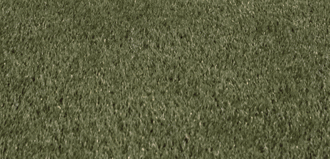 Womens Lacrosse GIF by Lafayette Leopards