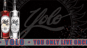 Happy New Year Party GIF by Yolo Rum
