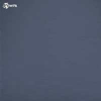 Happy Look GIF by WTA