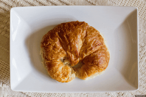 Sandwich GIF