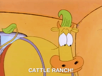 rockos modern life nicksplat GIF