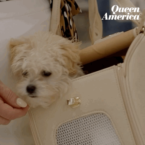 episode 1 facebook watch GIF by Queen America
