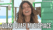 isola13 im sorry GIF by Isola dei Famosi