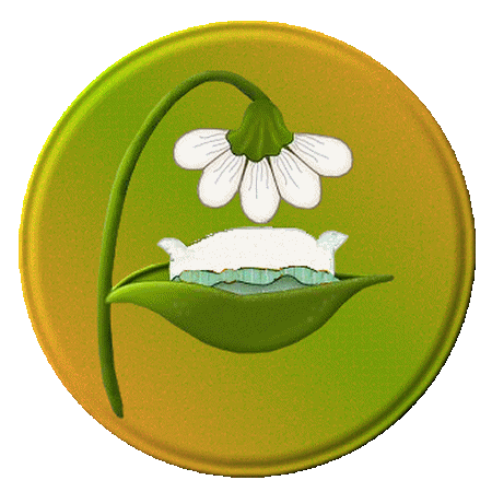 graphics bee STICKER
