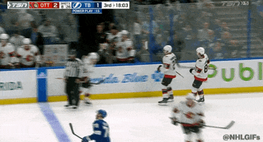 Ice Hockey Sport GIF by NHL