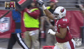Arizona Cardinals Football GIF by NFL