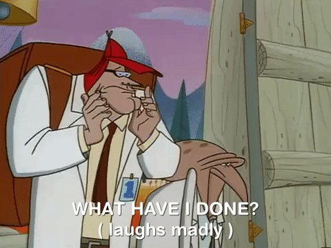 nickrewind giphydvr nicksplat angry beavers giphyab031 GIF