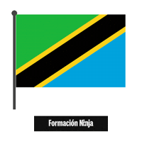 Flag Bandera Sticker by Formación Ninja