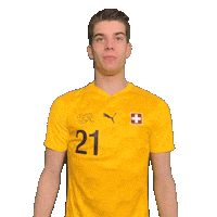 Switzerland Swipe Up Sticker by Swiss Football Association