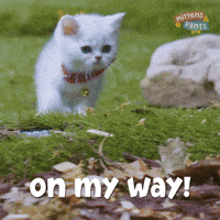 Be There Soon On My Way GIF by Mittens & Pants