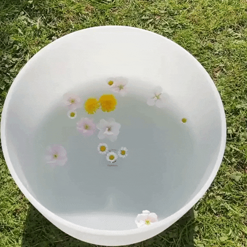 AEQUILL giphyupload GIF