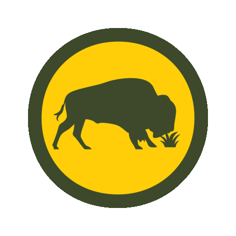 Buffalo Sticker by Bison Botanics