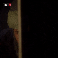 Dizi Reaction GIF by TRT
