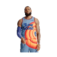 Lebron James Sport Sticker by Space Jam