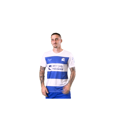 Football Soccer Sticker by NK Osijek