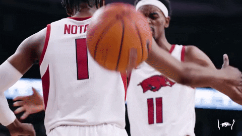 Celebrate And One GIF by Arkansas Razorbacks