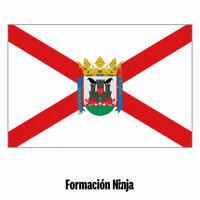 Flag Pixel Art GIF by Formación Ninja
