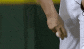 Baseball College GIF by NCAA Championships