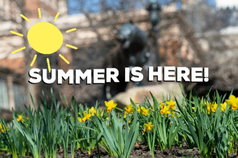 GIF by University of Pittsburgh
