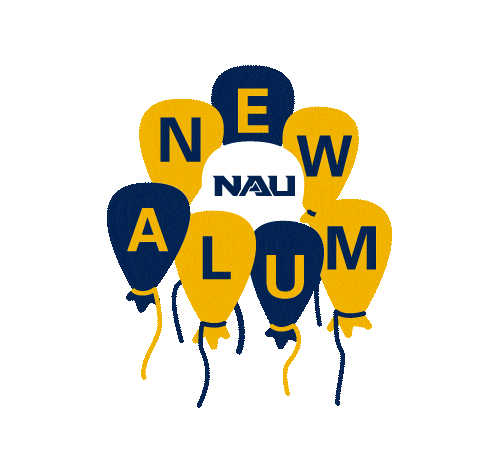 University Balloons Sticker by NAUADV