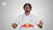 Football Sport GIF by FC Red Bull Salzburg